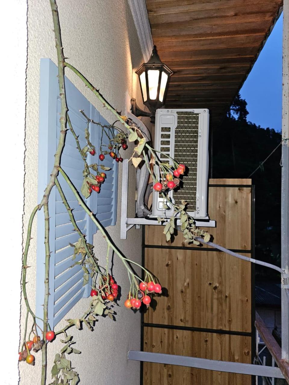 קאחתי Guest House Likani 2017 חדר תמונה